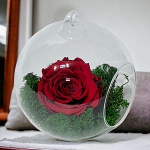 Trandafir Criogenat Roșu XL În Glob De Sticlă Elegant Livrare Rapidă În 24 Ore - Trandafir - Criogenat.ro