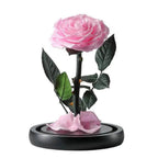 Trandafir Criogenat Roz Bella În Cupolă De Sticlă Cu Mesaj Personalizat 12x25cm - Trandafir - Criogenat.ro
