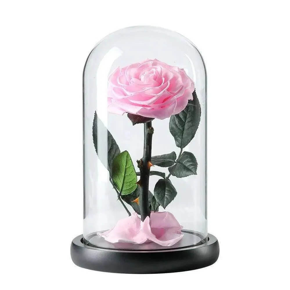 Trandafir Criogenat Roz Bella În Cupolă De Sticlă Cu Mesaj Personalizat 12x25cm - Trandafir - Criogenat.ro