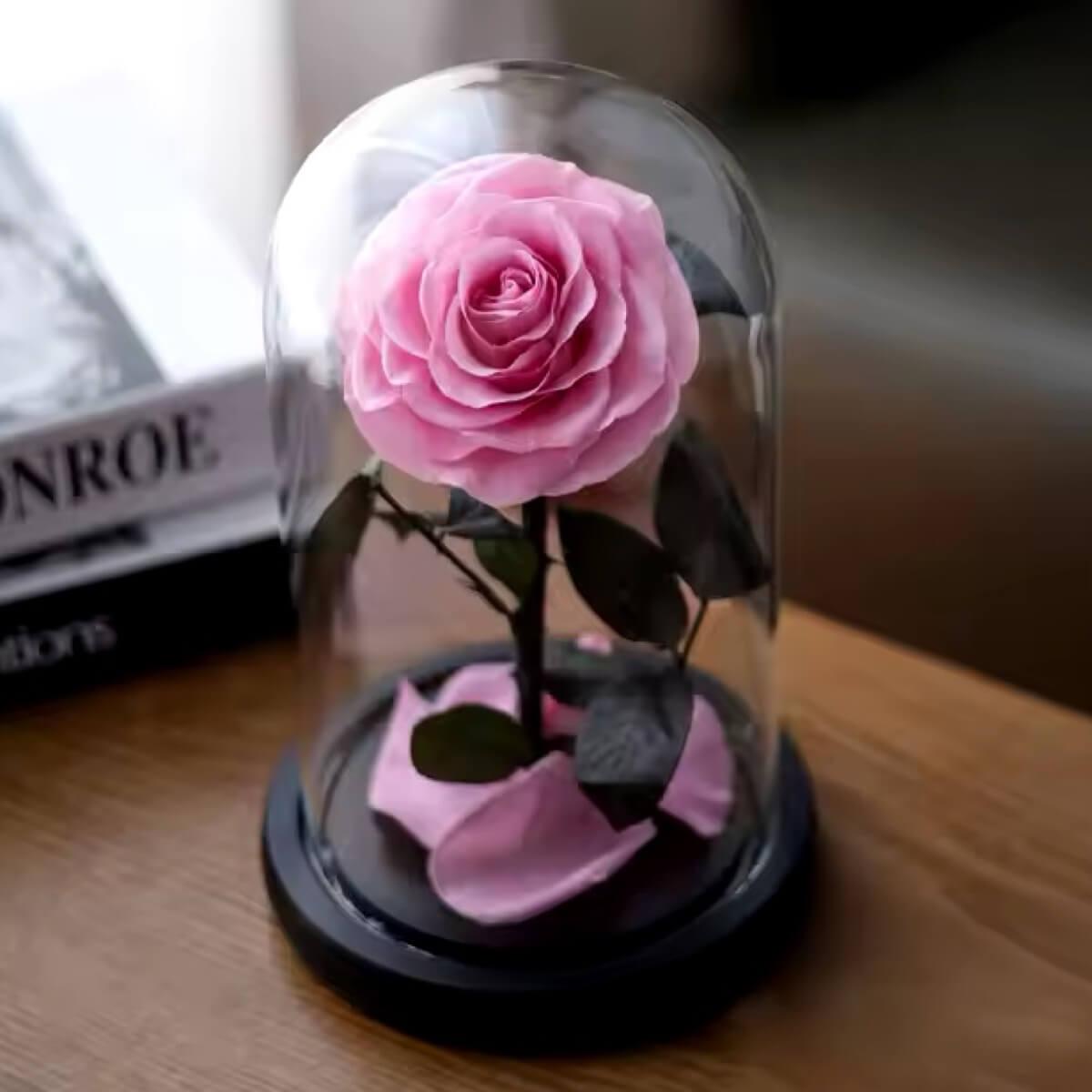 Trandafir Criogenat Roz Bonita În Cupolă De Sticlă Cadou Nemuritor 9,5 Cm - Trandafir - Criogenat.ro