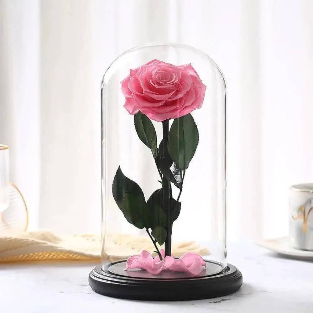 Trandafir Criogenat Roz de Lux în Cupola de Sticlă 12x25cm Cadou Elegant - Trandafir - Criogenat.ro