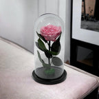 Trandafir Criogenat Roz Deschis În Cupolă De Sticlă Elegant Cadou Perfect - Trandafir - Criogenat.ro