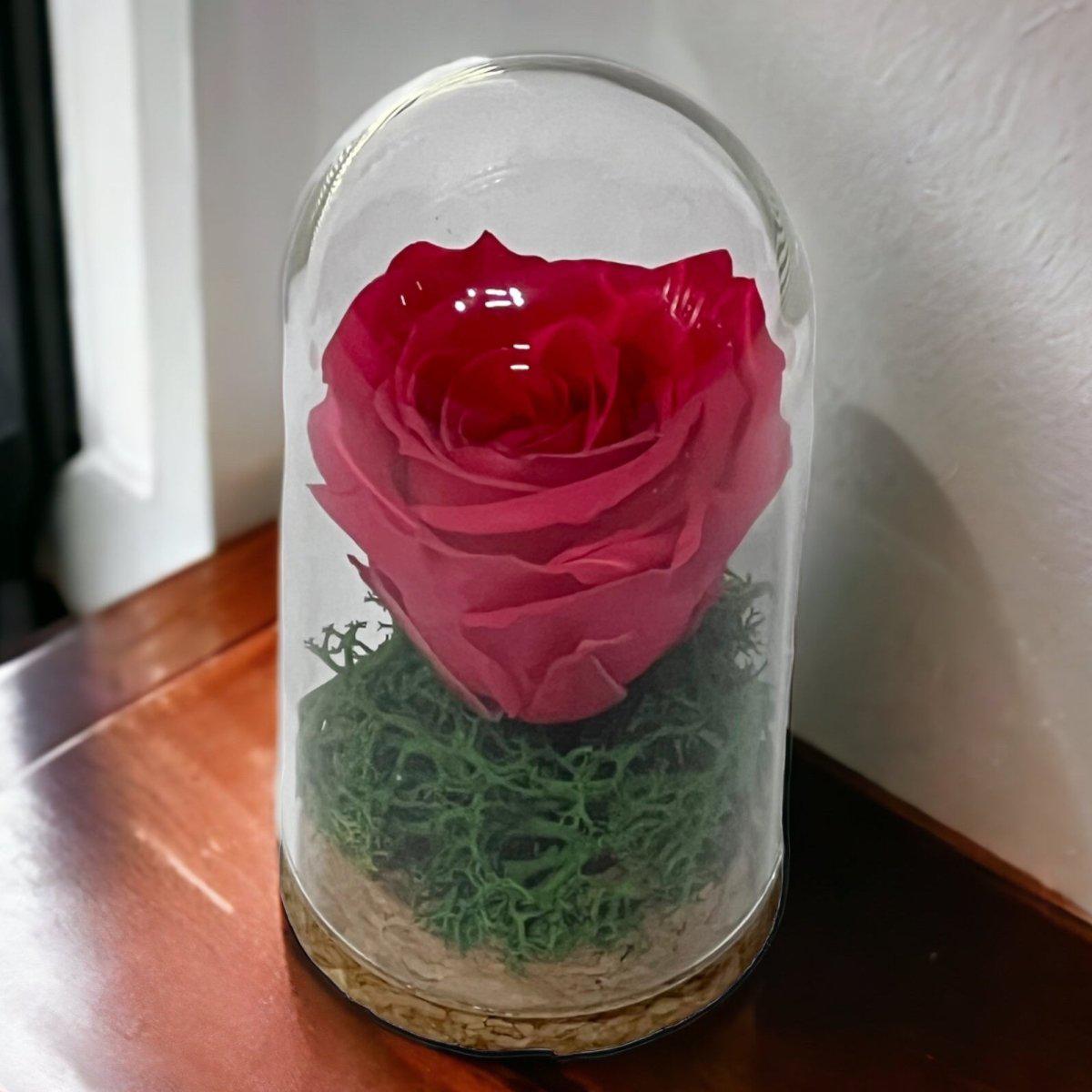 Trandafir Criogenat Roz În Cupolă De Sticlă 5x9,5cm Cadou Pentru Evenimente - Trandafir - Criogenat.ro