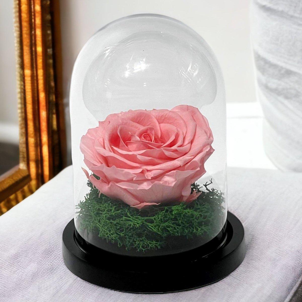 Trandafir Criogenat Roz în Cupolă de Sticlă 8 cm Cadou Elegant pentru Ea - Trandafir - Criogenat.ro