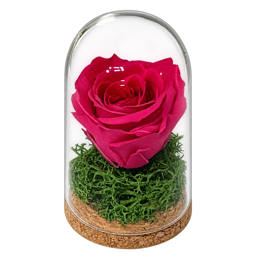 Trandafir criogenat roz în mini cupolă de sticlă 5 × 9,5 cm - Trandafir-Criogenat.ro