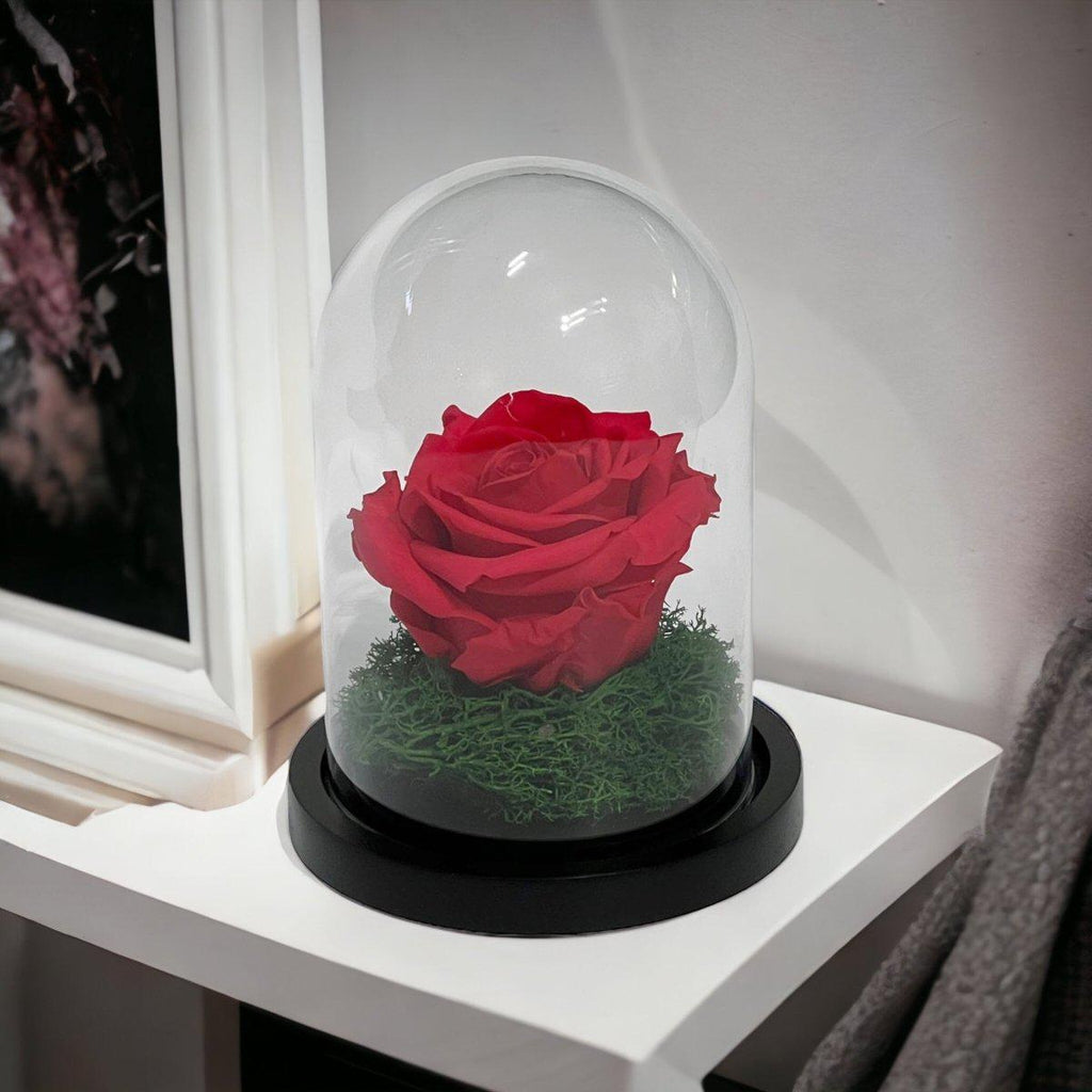 Trandafir Criogenat Roz Inchis In Cupola De Sticla Diametru 8cm Premium Cadou - Trandafir - Criogenat.ro