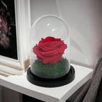 Trandafir Criogenat Roz Inchis In Cupola De Sticla Diametru 8cm Premium Cadou - Trandafir - Criogenat.ro