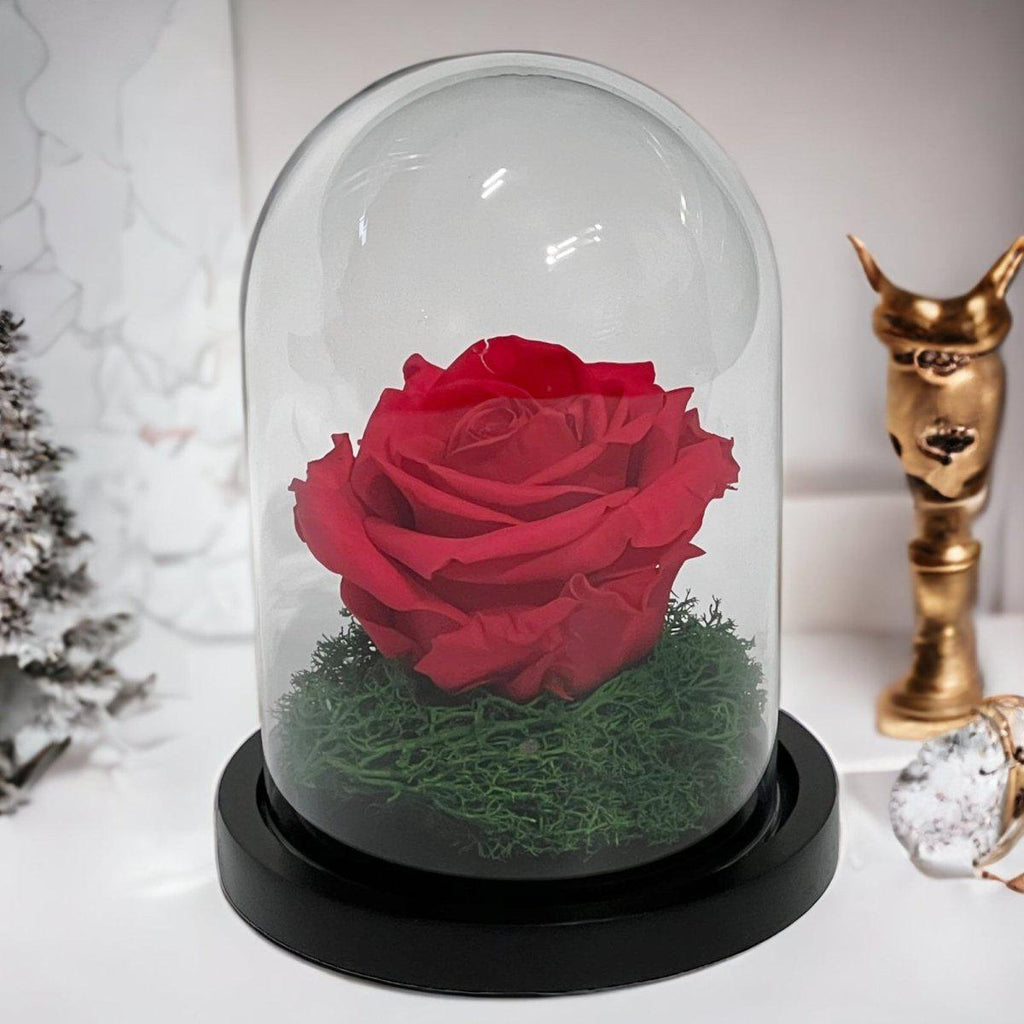 Trandafir Criogenat Roz Inchis In Cupola De Sticla Diametru 8cm Premium Cadou - Trandafir - Criogenat.ro