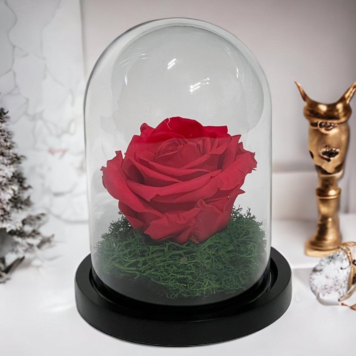 Trandafir Criogenat Roz Inchis In Cupola De Sticla Diametru 8cm Premium Cadou - Trandafir - Criogenat.ro