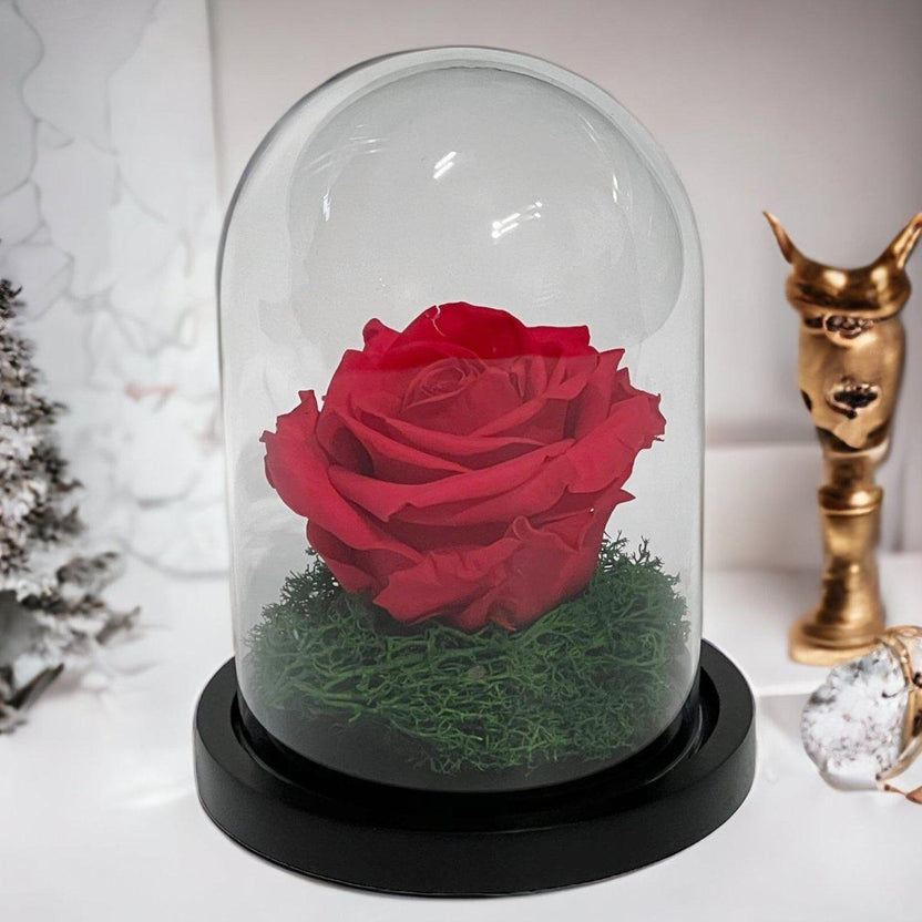 Trandafir Criogenat Roz Inchis In Cupola De Sticla Diametru 8cm Premium Cadou - Trandafir - Criogenat.ro