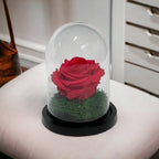 Trandafir Criogenat Roz Inchis In Cupola De Sticla Diametru 8cm Premium Cadou - Trandafir - Criogenat.ro