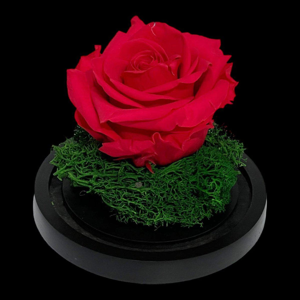 Trandafir Criogenat Roz Inchis In Cupola De Sticla Diametru 8cm Premium Cadou - Trandafir - Criogenat.ro