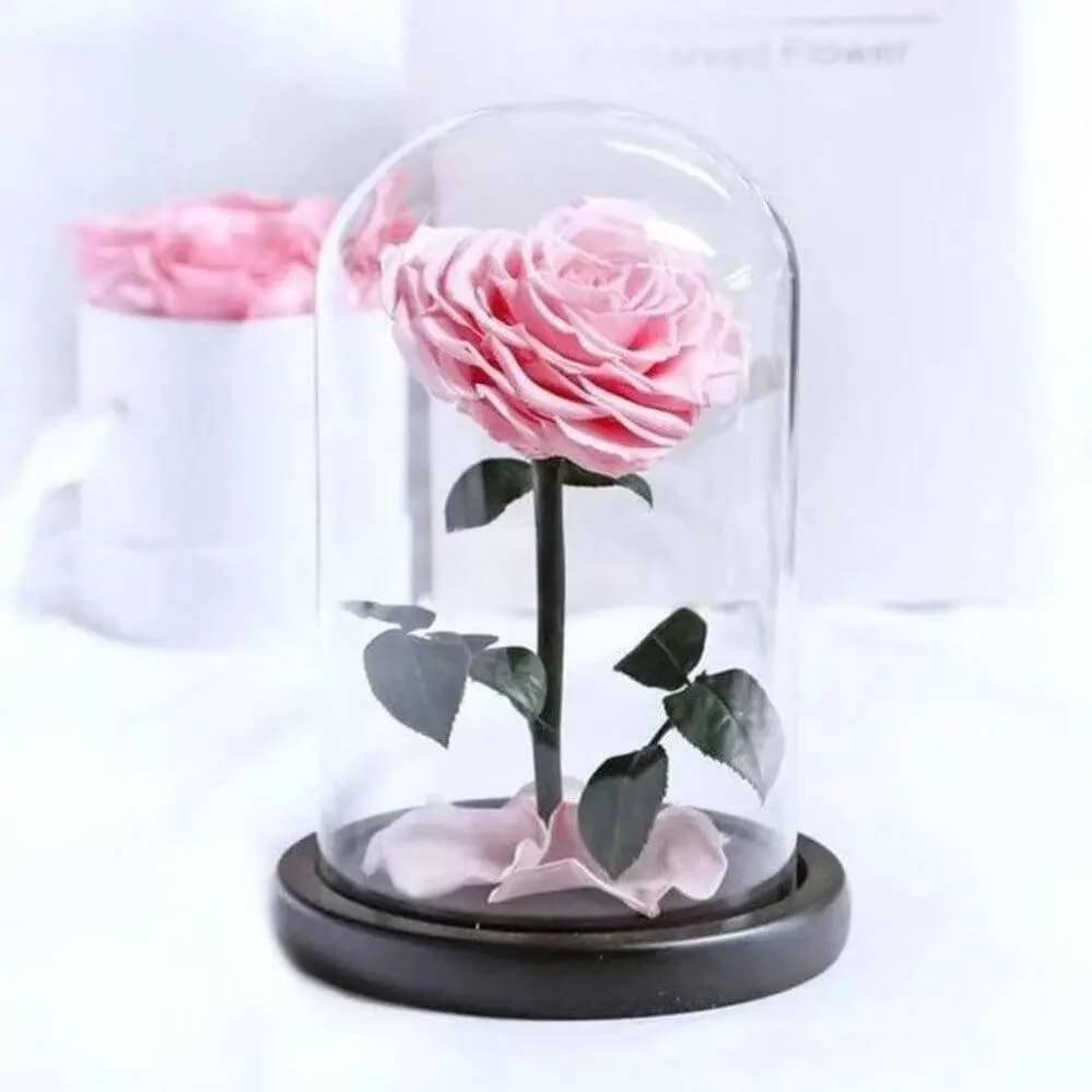 Trandafir Criogenat Roz Inimă în Cupolă de Sticlă Elegantă 15x25cm Cadou Special - Trandafir - Criogenat.ro