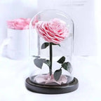 Trandafir Criogenat Roz Inimă în Cupolă de Sticlă Elegantă 15x25cm Cadou Special - Trandafir - Criogenat.ro