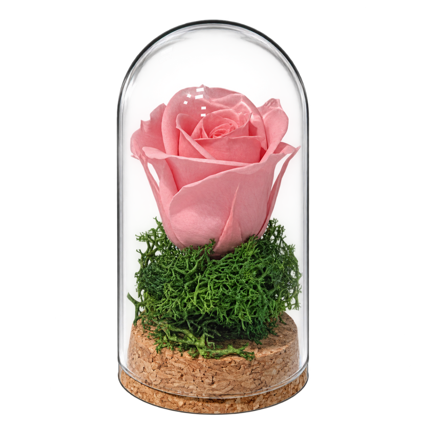 Trandafir criogenat roz pal în mini cupolă de sticlă 5 × 9,5 cm - Trandafir-Criogenat.ro
