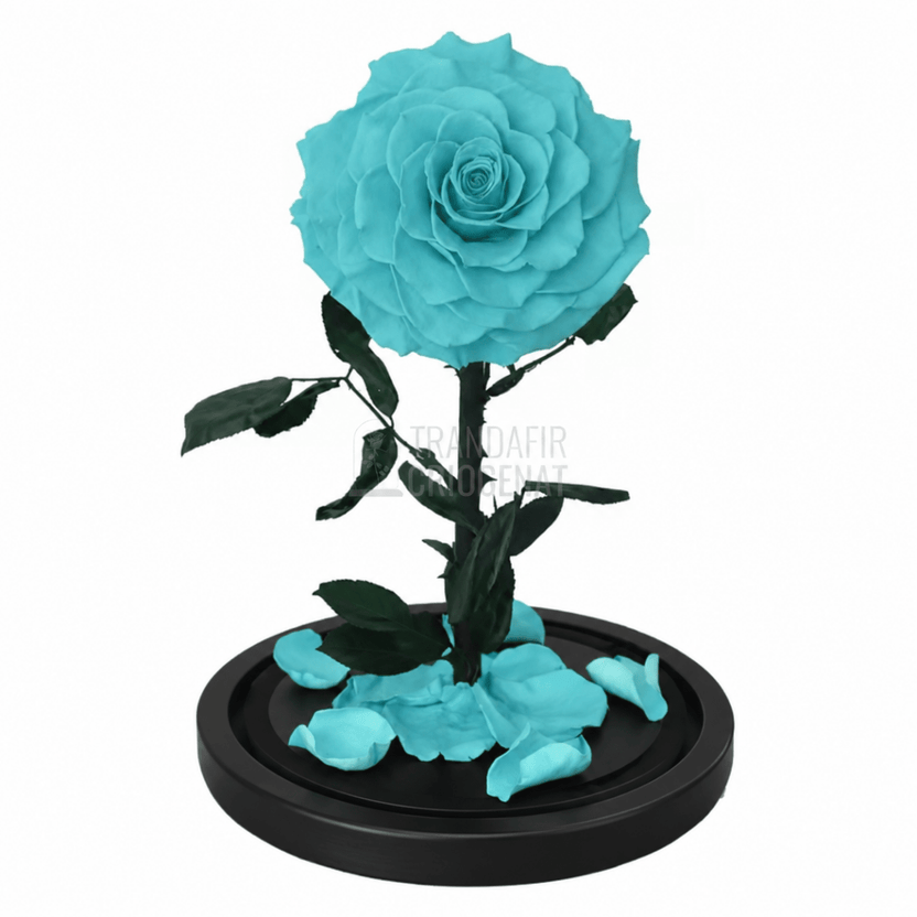 Trandafir criogenat turcoaz Bonita în cupolă de sticlă 12 × 25 cm, cu mesaj - Trandafir-Criogenat.ro
