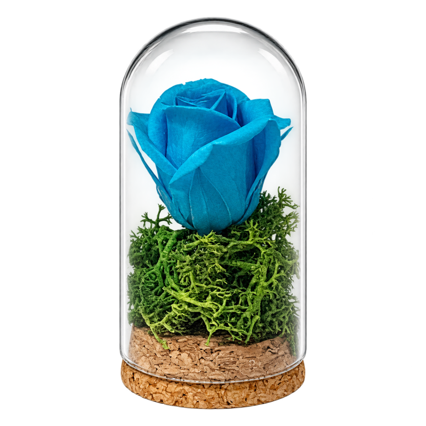 Trandafir criogenat turcoaz în mini cupolă de sticlă 5 × 9,5 cm - Trandafir-Criogenat.ro