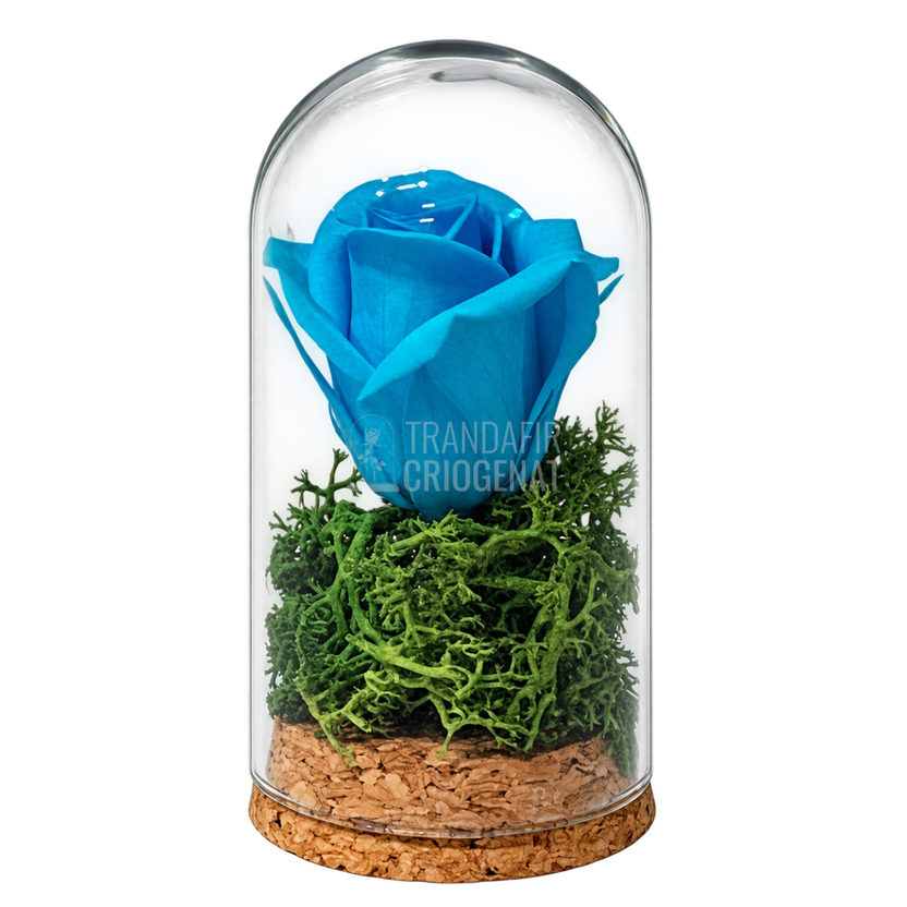 Trandafir criogenat turcoaz în mini cupolă de sticlă 5 × 9,5 cm - Trandafir-Criogenat.ro