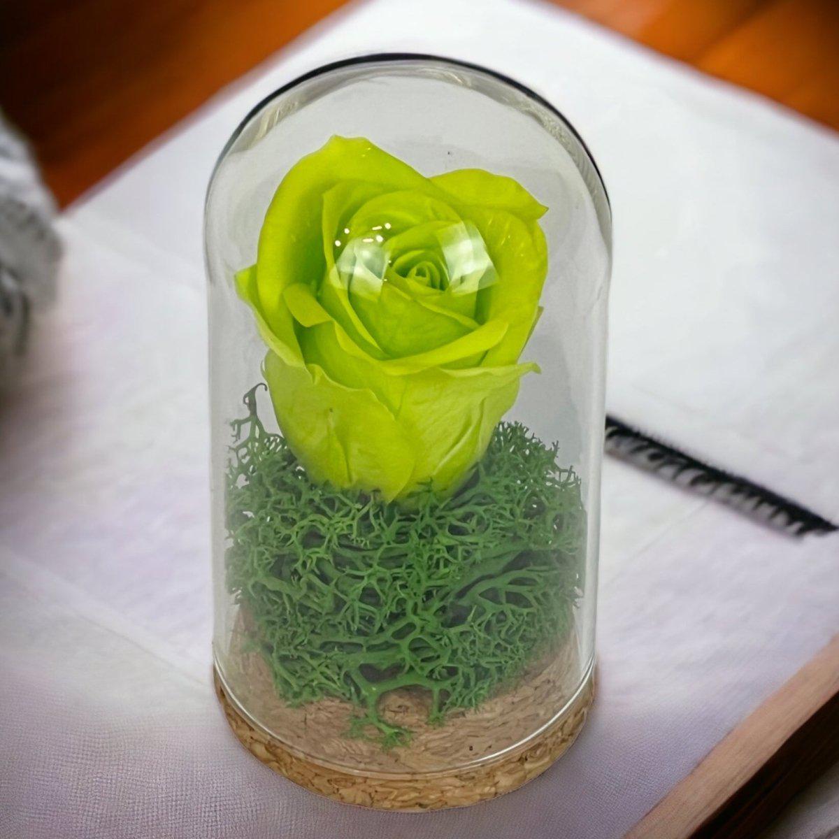 Trandafir Criogenat Verde În Cupolă De Sticlă 5x9,5 Cm Cadou Elegant Premium - Trandafir - Criogenat.ro