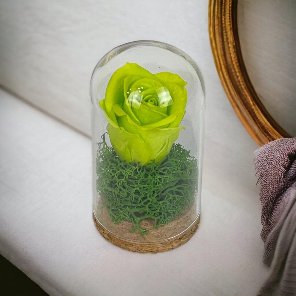Trandafir Criogenat Verde În Cupolă De Sticlă 5x9,5 Cm Cadou Elegant Premium - Trandafir - Criogenat.ro
