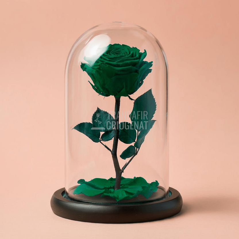 Trandafir Criogenat verde in cupola de sticla, cu mesaj personalizat - Trandafir - Criogenat.ro
