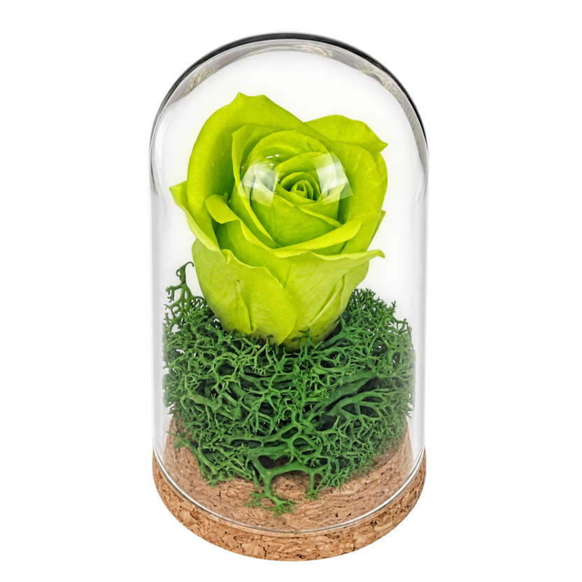 Trandafir criogenat verde în mini cupolă de sticlă 5 × 9,5 cm - Trandafir-Criogenat.ro