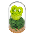 Trandafir criogenat verde în mini cupolă de sticlă 5 × 9,5 cm - Trandafir-Criogenat.ro