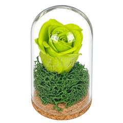 Trandafir criogenat verde în mini cupolă de sticlă 5 × 9,5 cm - Trandafir-Criogenat.ro