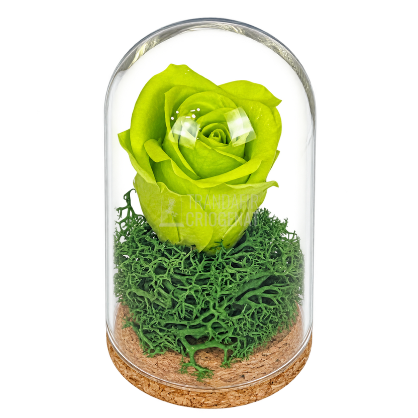 Trandafir criogenat verde în mini cupolă de sticlă 5 × 9,5 cm - Trandafir-Criogenat.ro