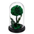 Trandafir criogenat verde închis în cupolă de sticlă 15 × 25 cm, cu mesaj