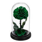 Trandafir criogenat verde închis în cupolă de sticlă 15 × 25 cm, cu mesaj