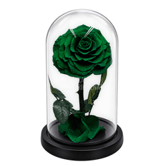 Trandafir criogenat verde închis în cupolă de sticlă 15 × 25 cm, cu mesaj