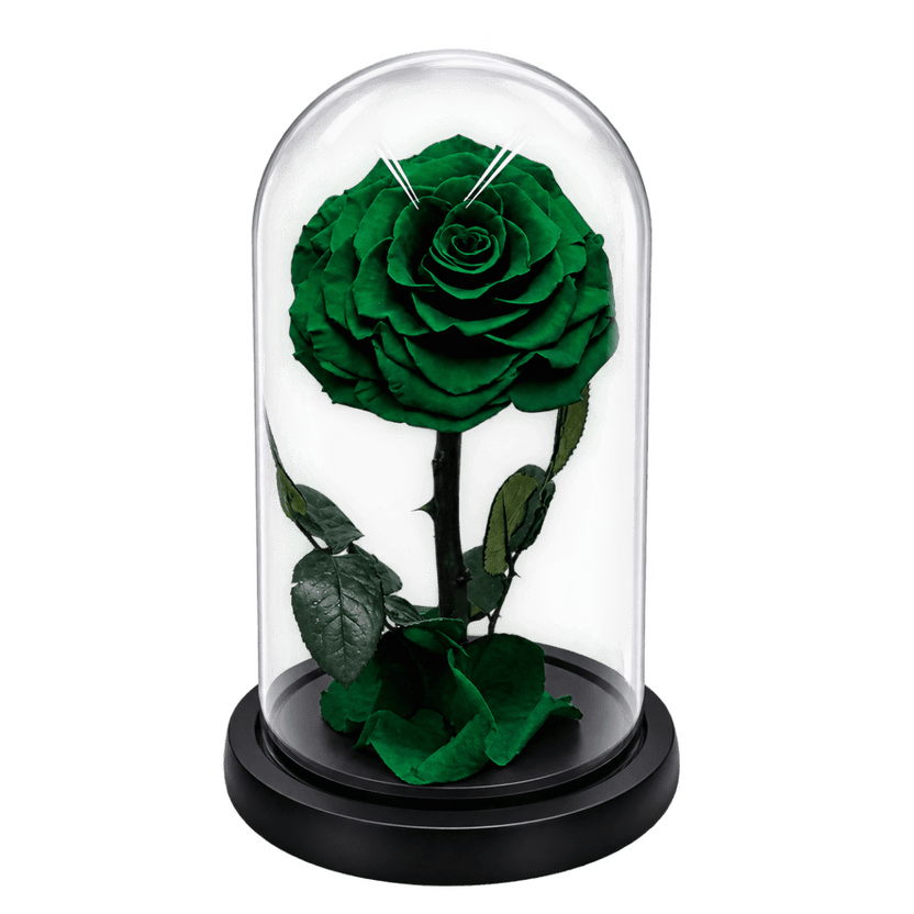 Trandafir criogenat verde închis în cupolă de sticlă 15 × 25 cm, cu mesaj - Trandafir-Criogenat.ro