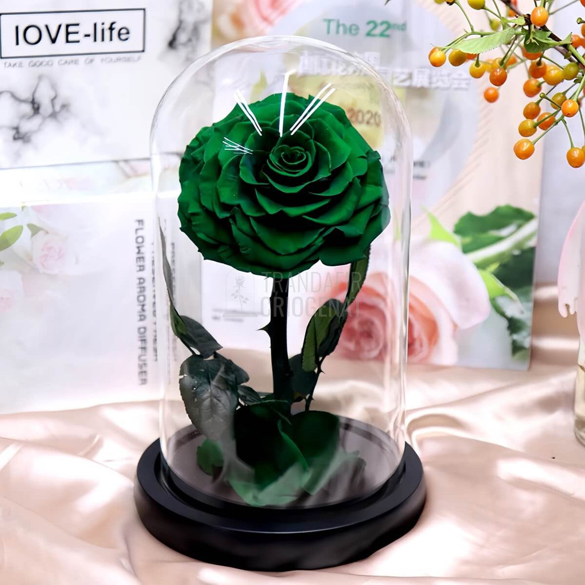 Trandafir Criogenat verde inchis in cupola de sticla, cu mesaj personalizat - Trandafir - Criogenat.ro
