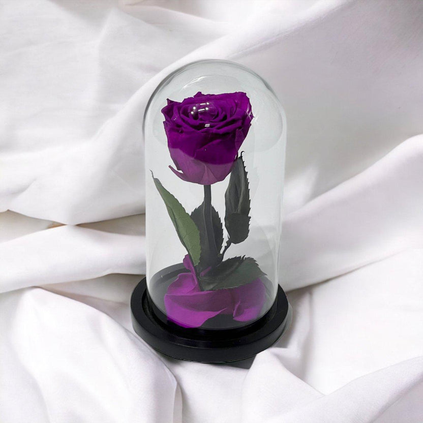 Trandafir Criogenat Violet Deschis în Cupolă de Sticlă 6,5cm Cadou Perfect - Trandafir - Criogenat.ro