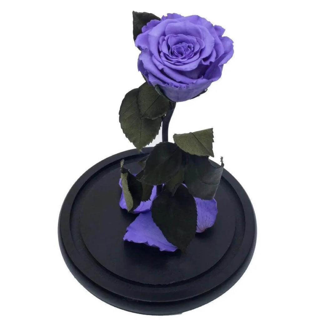 Trandafir Criogenat Violet XL În Cupolă De Sticlă Cadou Nemuritor 12x25cm - Trandafir - Criogenat.ro
