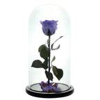 Trandafir Criogenat Violet XL În Cupolă De Sticlă Cadou Nemuritor 12x25cm - Trandafir - Criogenat.ro