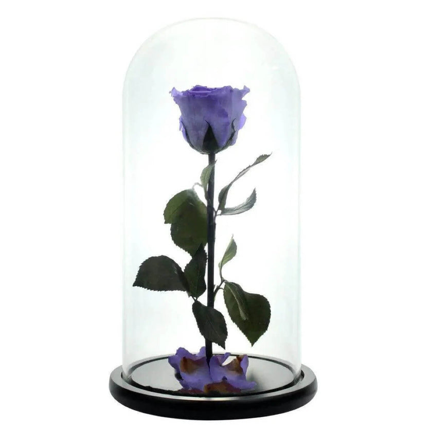 Trandafir Criogenat Violet XL În Cupolă De Sticlă Cadou Nemuritor 12x25cm - Trandafir - Criogenat.ro