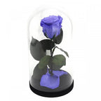 Trandafir Criogenat Violet XL În Cupolă De Sticlă Cadoul Ideal Pentru Iubirea Ta - Trandafir - Criogenat.ro