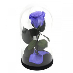 Trandafir Criogenat Violet XL În Cupolă De Sticlă Cadoul Ideal Pentru Iubirea Ta - Trandafir - Criogenat.ro