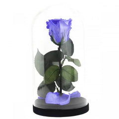 Trandafir Criogenat Violet XL În Cupolă De Sticlă Cadoul Ideal Pentru Iubirea Ta - Trandafir - Criogenat.ro