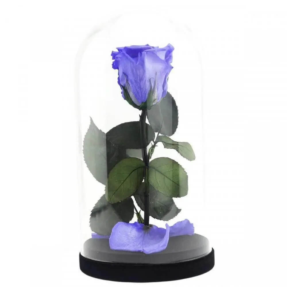 Trandafir Criogenat Violet XL În Cupolă De Sticlă Cadoul Ideal Pentru Iubirea Ta - Trandafir - Criogenat.ro