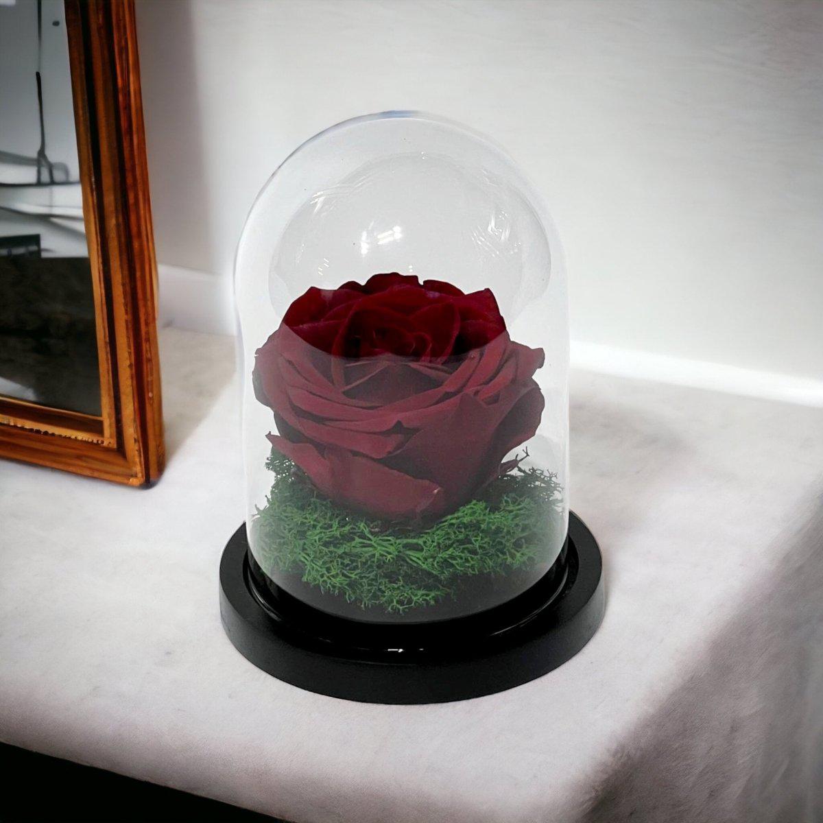 Trandafir Criogenat Visiniu Elegant În Cupolă De Sticlă 10x15 Cm Premium - Trandafir - Criogenat.ro