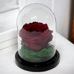Trandafir Criogenat Visiniu Elegant În Cupolă De Sticlă 10x15 Cm Premium - Trandafir - Criogenat.ro