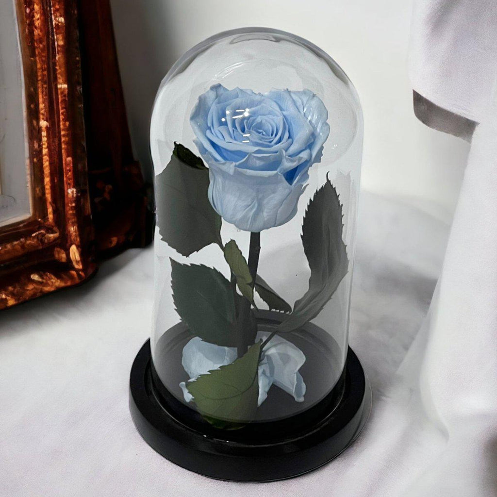 Trandafir Criogenat XL Bleu În Cupolă De Sticlă Elegantă 10x20cm Cadou Special - Trandafir - Criogenat.ro