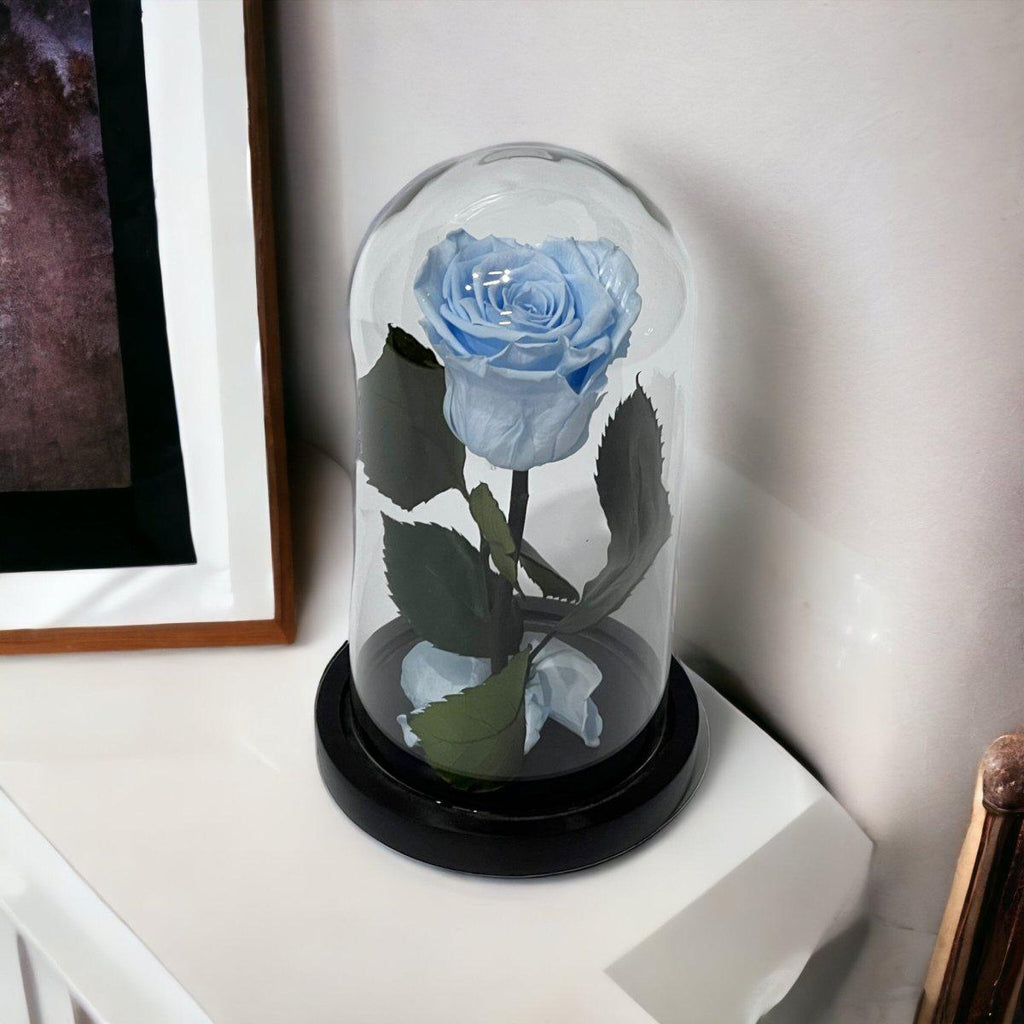 Trandafir Criogenat XL Bleu În Cupolă De Sticlă Elegantă 10x20cm Cadou Special - Trandafir - Criogenat.ro