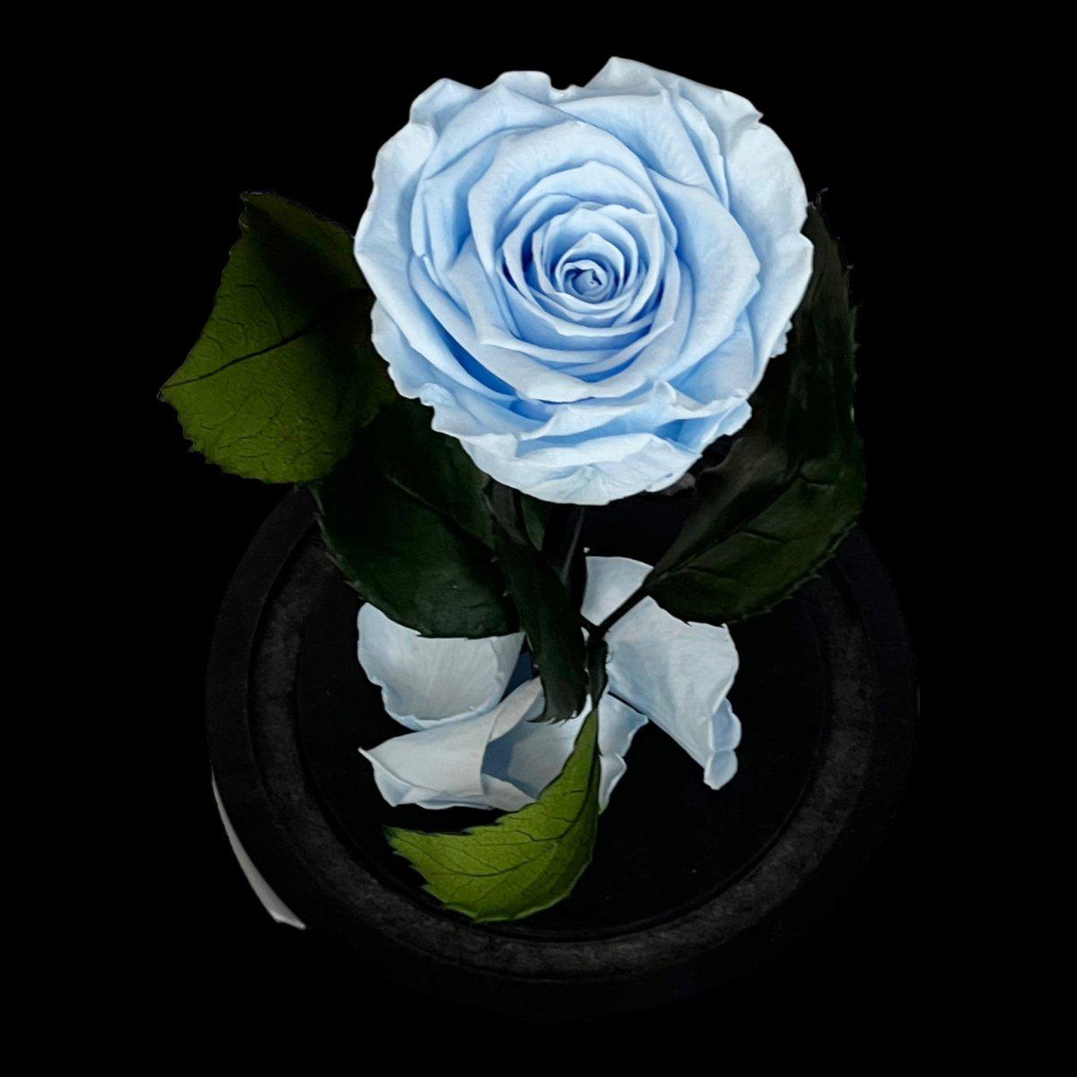 Trandafir Criogenat XL Bleu În Cupolă De Sticlă Elegantă 10x20cm Cadou Special - Trandafir - Criogenat.ro
