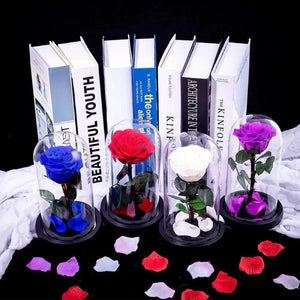 Trandafir Criogenat XL Purpuriu În Cupolă De Sticlă 10x20 Cm Cadou Elegant - Trandafir - Criogenat.ro