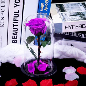 Trandafir Criogenat XL Purpuriu În Cupolă De Sticlă 10x20 Cm Cadou Elegant - Trandafir - Criogenat.ro