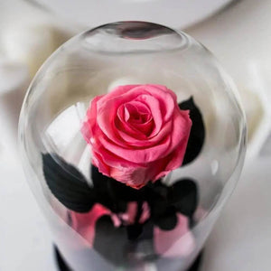 Trandafir Criogenat XL Somon Deschis În Cupolă De Sticlă Elegantă Ø6,5cm Cadou - Trandafir - Criogenat.ro